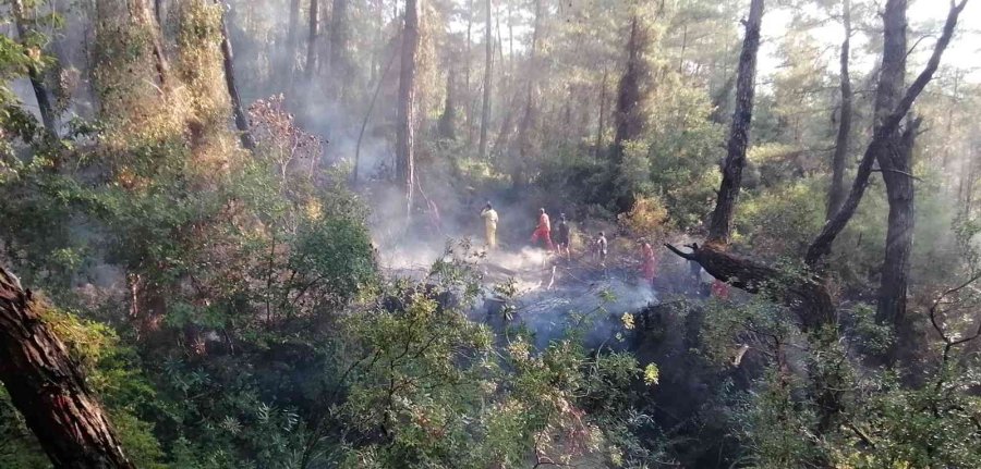 Manavgat’taki Orman Yangını Büyümeden Söndürüldü