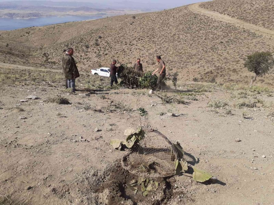 Kaçak Avlanan 3 Kişiye Suçüstü