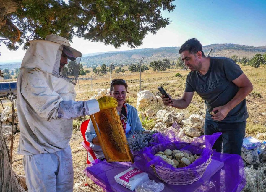 Silifke’de Lavanta Balı Üretimi Yapıldı