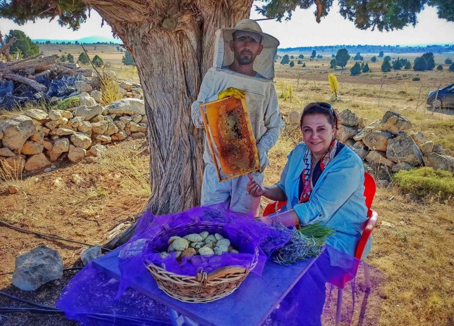 Silifke’de Lavanta Balı Üretimi Yapıldı