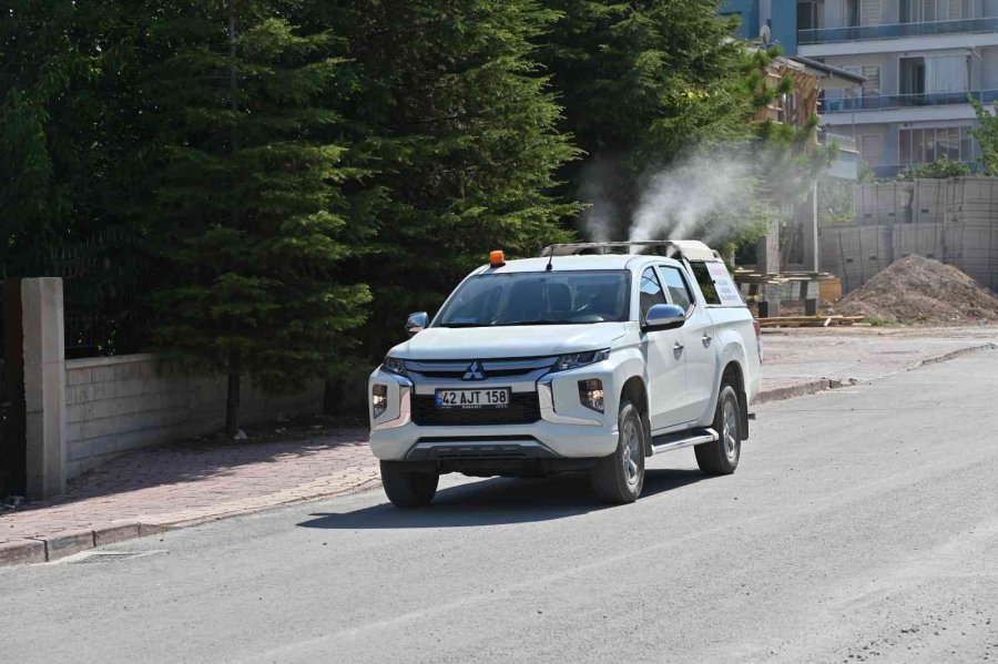 Selçuklu’da İlaçlama Çalışmaları Devam Ediyor