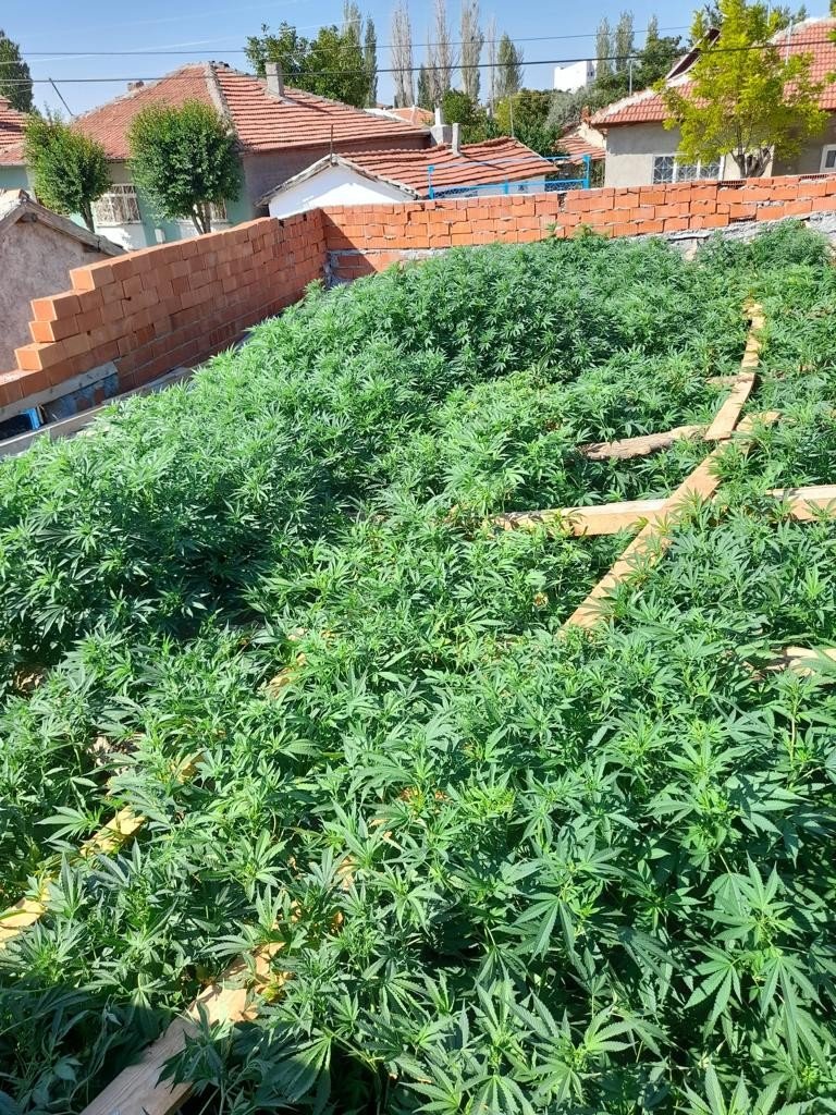 Yüklü Miktarda Uyuşturucu Bulunduran Şüpheli Tutuklandı