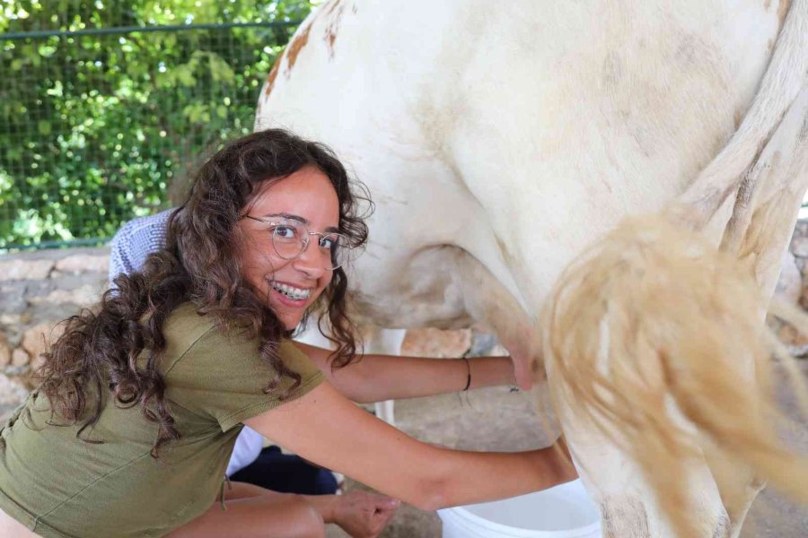 Yabancı Gençlerin İnekle İmtihanı