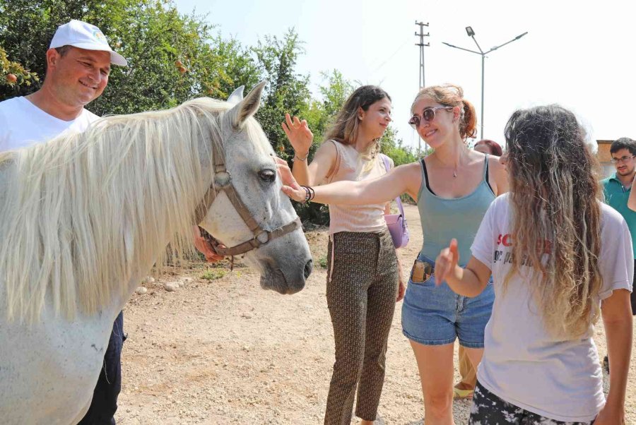 Yabancı Gençlerin İnekle İmtihanı