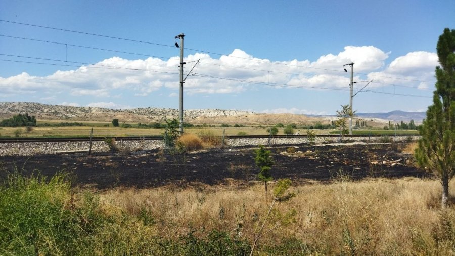Trenden Çıkan Kıvılcım Yunus Emre’nin Mezarının Yanında Yangına Sebep Oldu