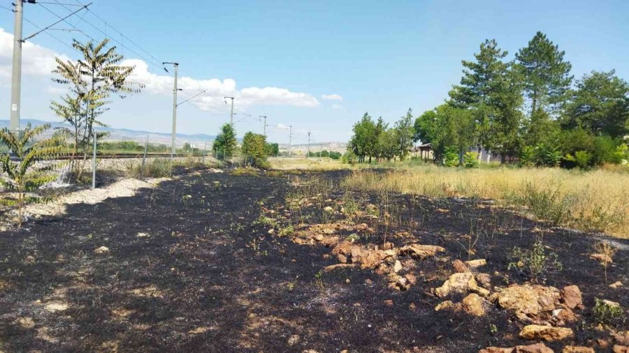 Trenden Çıkan Kıvılcım Yunus Emre’nin Mezarının Yanında Yangına Sebep Oldu