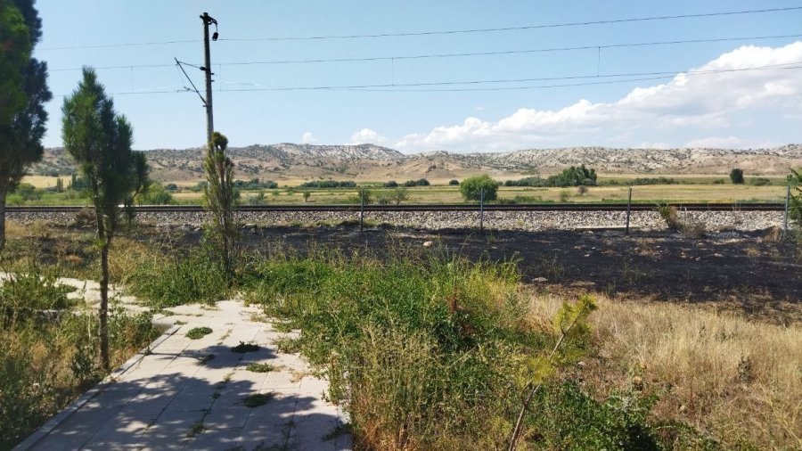 Trenden Çıkan Kıvılcım Yunus Emre’nin Mezarının Yanında Yangına Sebep Oldu