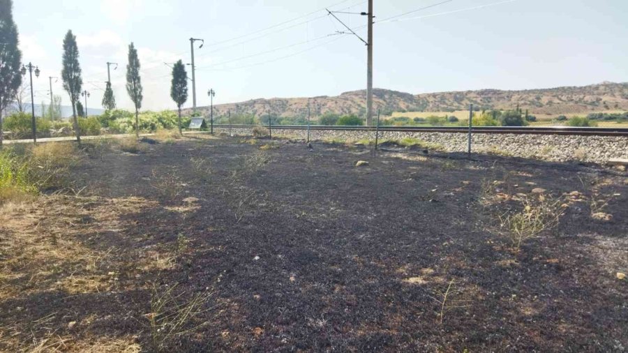 Trenden Çıkan Kıvılcım Yunus Emre’nin Mezarının Yanında Yangına Sebep Oldu