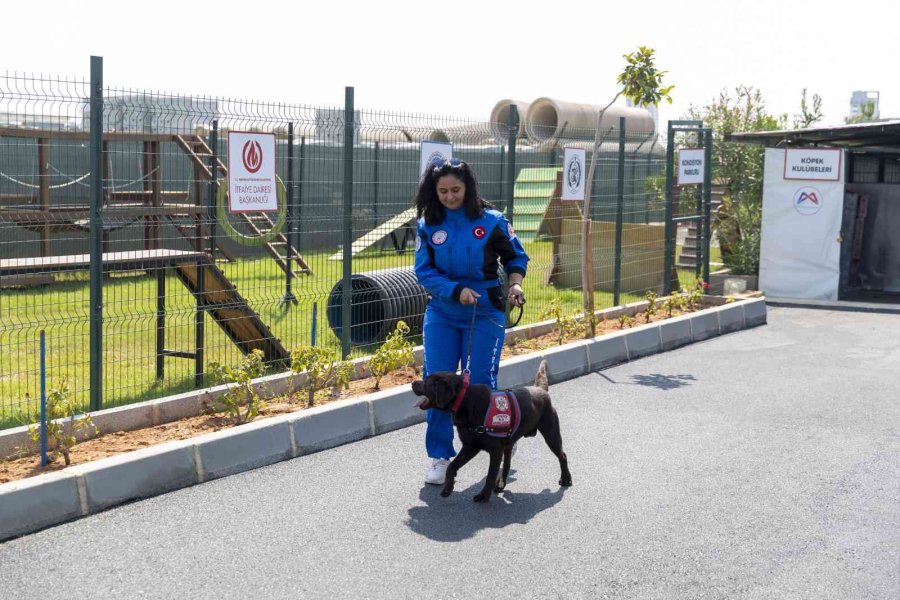 K9 Eğitmenleri Mersin’de Ortak Çalışma Yaptı