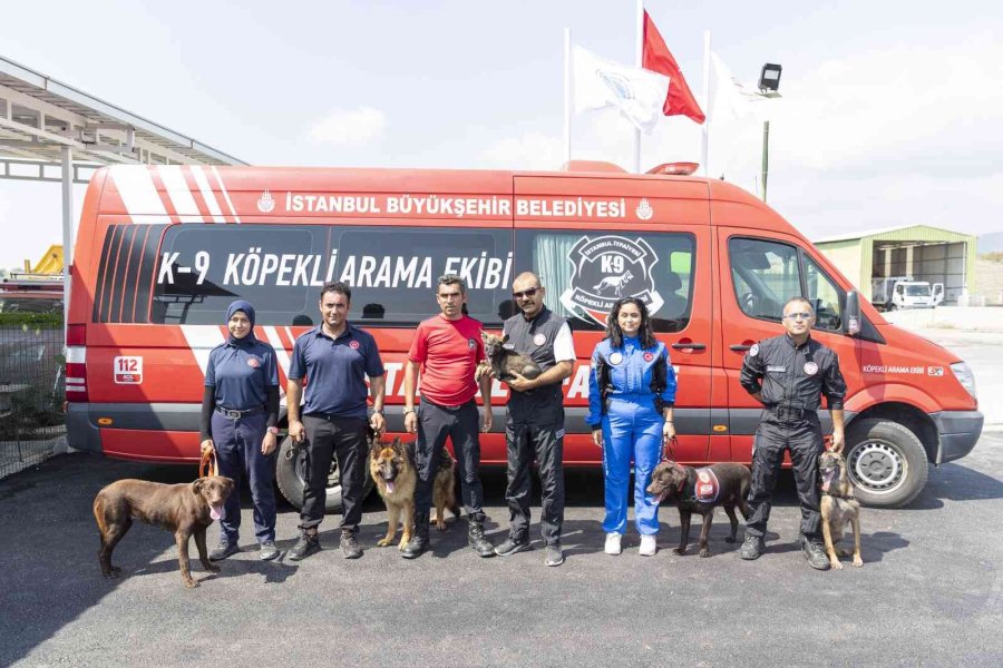 K9 Eğitmenleri Mersin’de Ortak Çalışma Yaptı