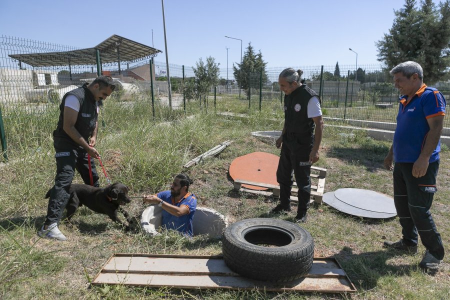 K9 Eğitmenleri Mersin’de Ortak Çalışma Yaptı