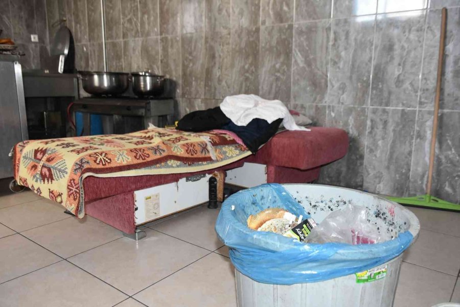 Böcekli Pastalara El Konuldu