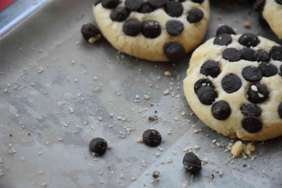 Böcekli Pastalara El Konuldu