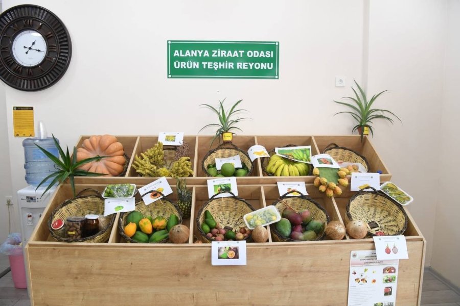 Vali Yazıcı: "en Çok Tarım Ve Hayvancılıkla Uğraşanların Kazanmasını İsterim"