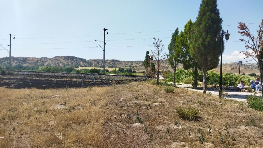 Trenden Çıkan Kıvılcım Yunus Emre’nin Mezarının Yanında Yangına Sebep Oldu