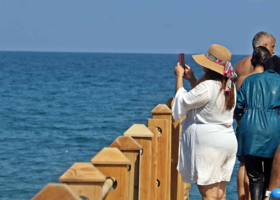 Tatilcilerin Batan Tekne Merakı, Cankurtaranı Canından Bezdirdi