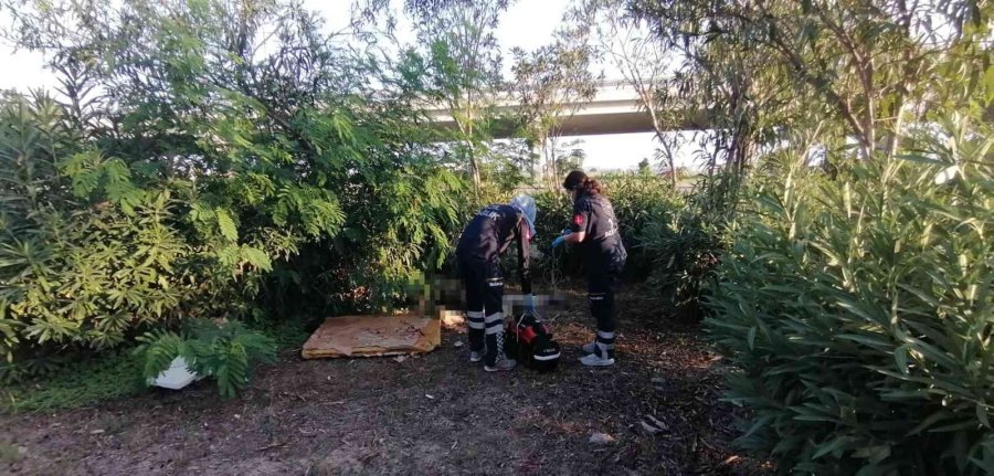 Antalya’da Otluk Alanda Ceset Bulundu