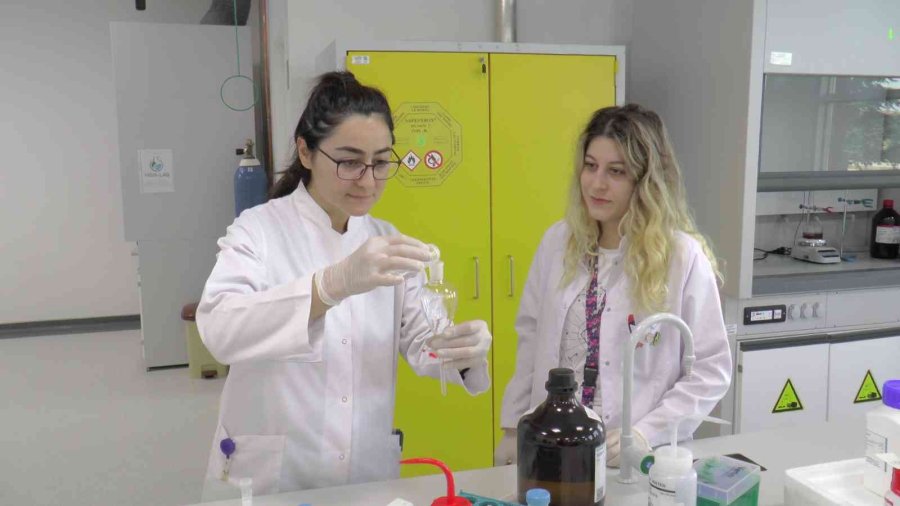 Kanser Hastalarını Umutlandıran Gelişme