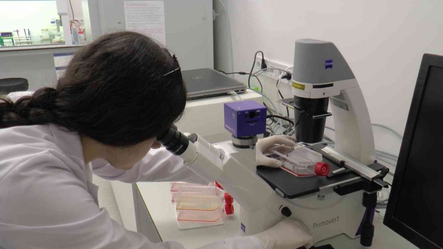 Kanser Hastalarını Umutlandıran Gelişme