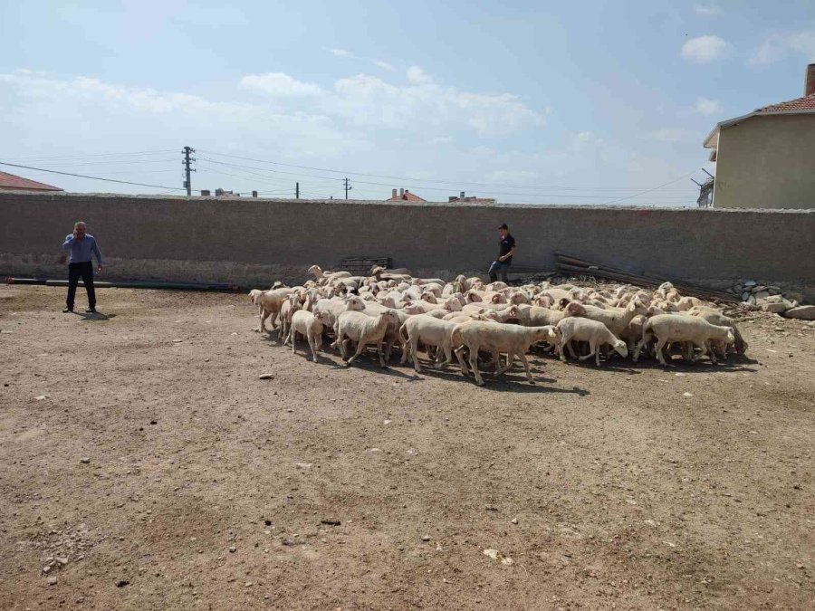 Eskişehirli Üreticilere 797 Bin 95 Tl Hibe Verildi