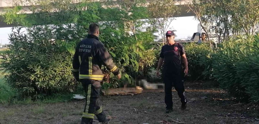 Antalya’da Otluk Alanda Ceset Bulundu