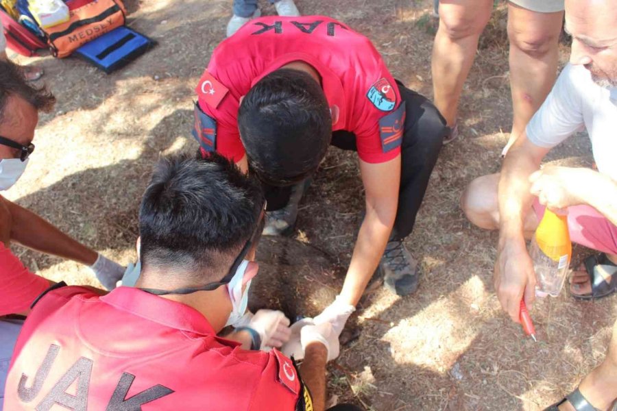 Yaralı Domuza, Jandarmadan İlk Yardım