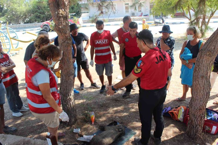 Yaralı Domuza, Jandarmadan İlk Yardım