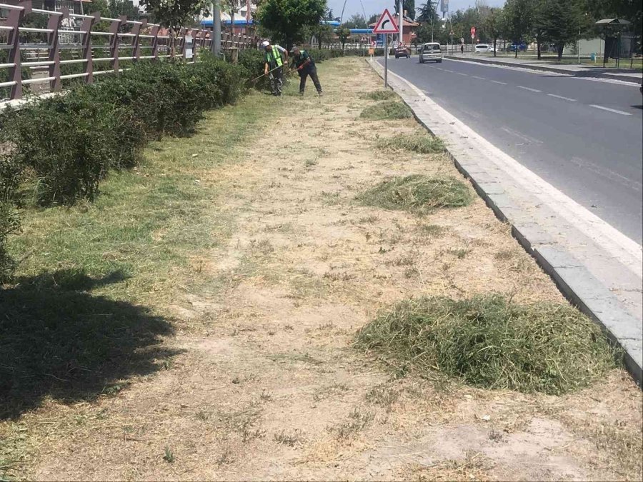 Büyükşehir Yeşil Alan Çalışmalarını Sürdürüyor