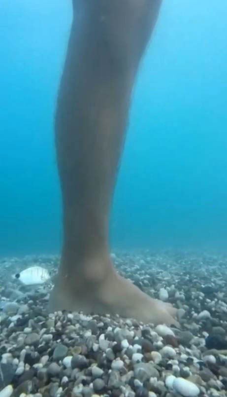 Antalya’da Balık Isırma Şikayetleri Arttı, Uzman İsim Açıklama Yaptı