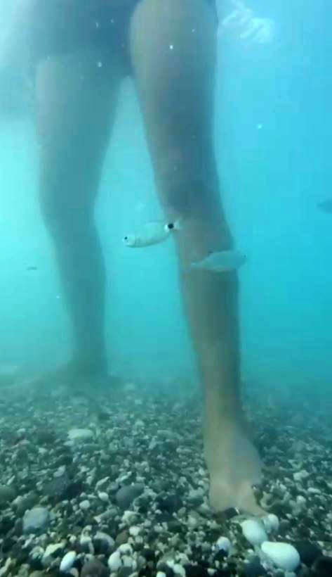 Antalya’da Balık Isırma Şikayetleri Arttı, Uzman İsim Açıklama Yaptı