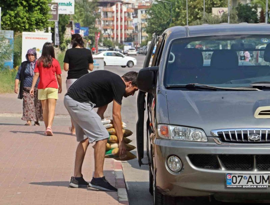 Poşetleri Doldurup Çıktılar, Cumhurbaşkanı Erdoğan’a Teşekkür Ettiler