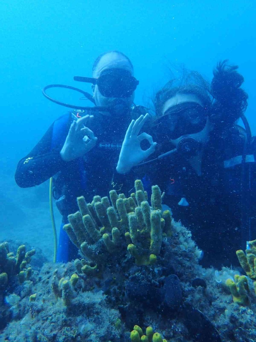 Eskişehirli Dalgıçlardan Mükemmel Deniz Altı Manzaraları