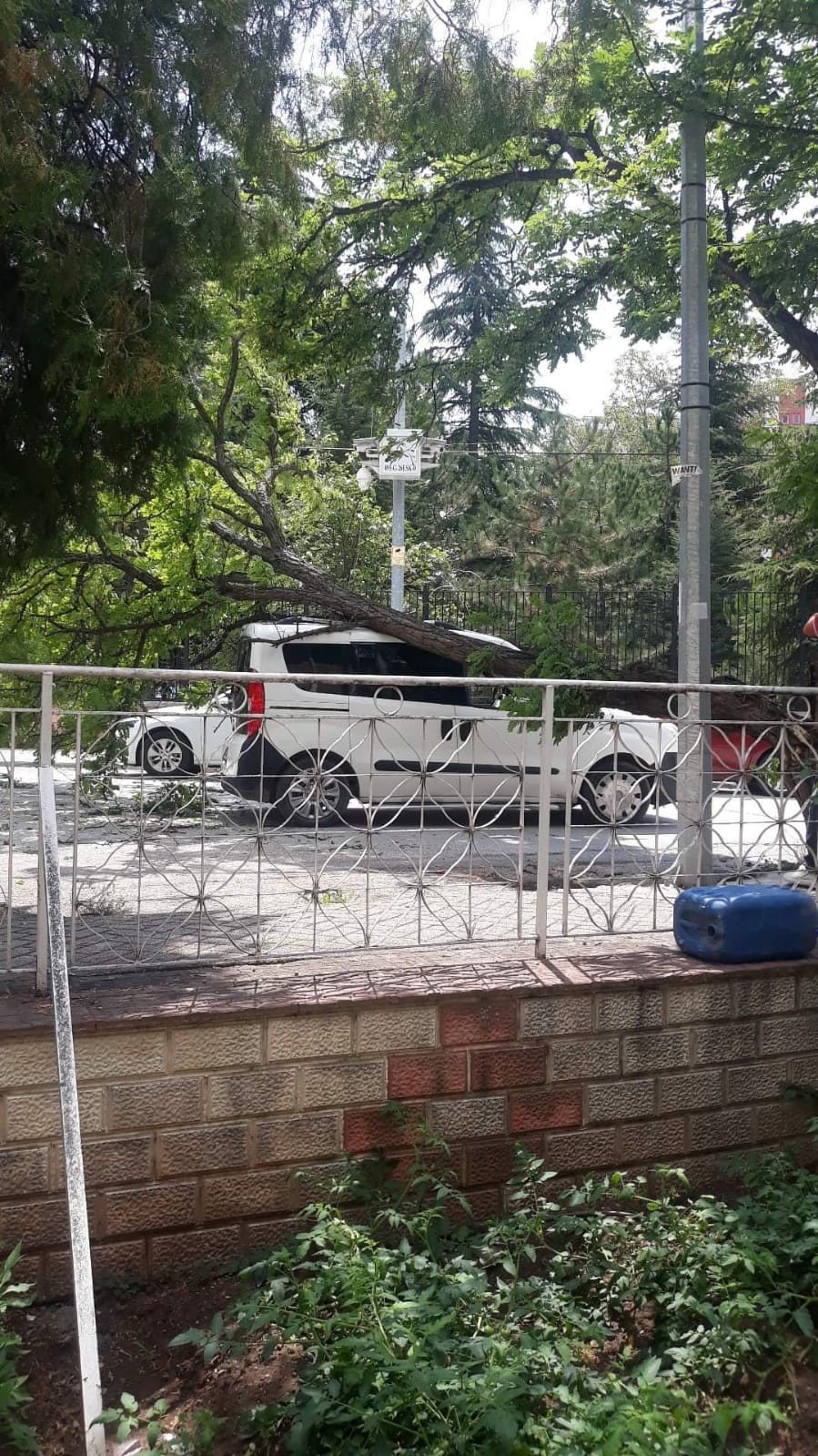 Çürük Ağaç Kırılarak, Seyir Halindeki Otomobilin Üzerine Düştü