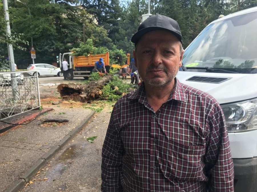 Çürük Ağaç Kırılarak, Seyir Halindeki Otomobilin Üzerine Düştü