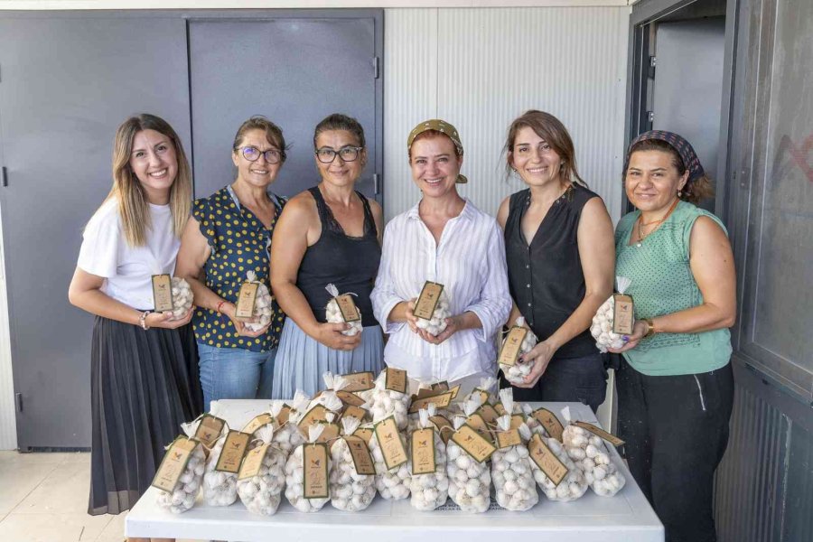 50 Yıllık Ata Tohumu, Mersinden Kadın Kooperatifi İle Sofralarda Yerini Aldı