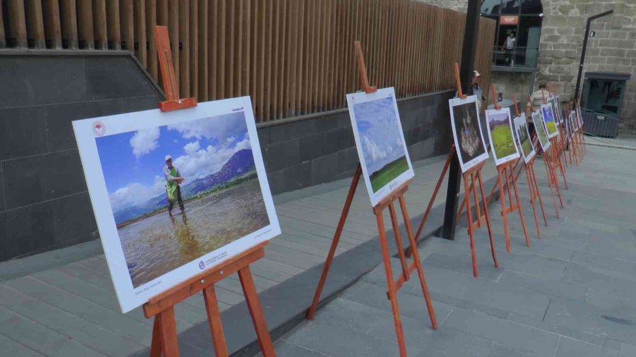 Kayseri’de 12. Tarım Ve İnsan Fotoğraf Sergisi Açıldı