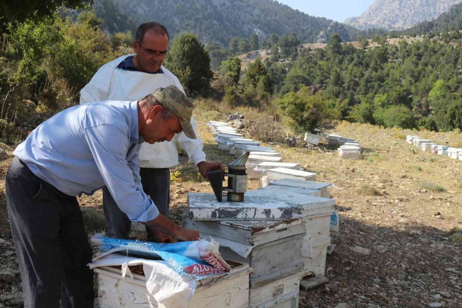 Büyükşehir Serikli Arıcıların Yüzünü Güldürdü