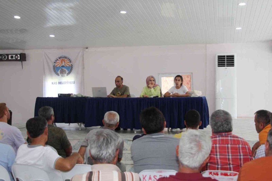 Kaş’ta Seracılık Kursu Açıldı