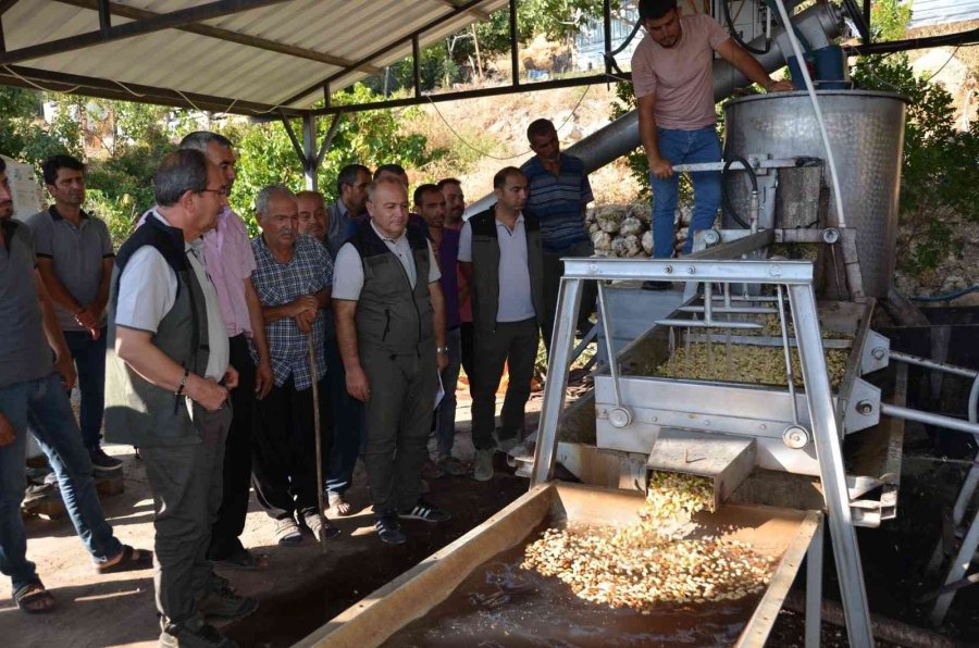 Orman Bölge Müdürü Yalçın, Mut’taki Sahalarda İncelemelerde Bulundu