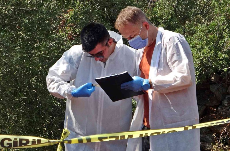Antalya’da Zeytinlik Alanda 23 Yaşındaki Gencin Cesedi Bulundu