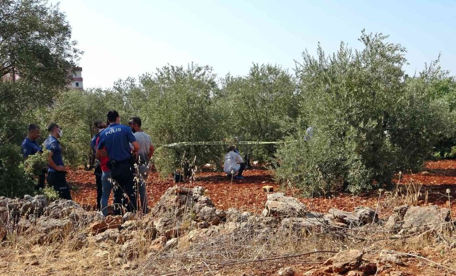 Antalya’da Zeytinlik Alanda 23 Yaşındaki Gencin Cesedi Bulundu