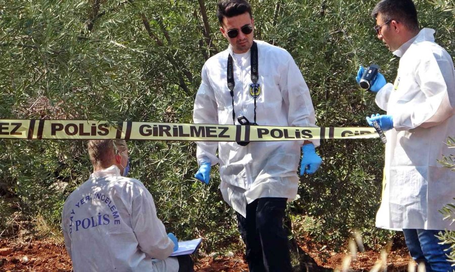 Antalya’da Zeytinlik Alanda 23 Yaşındaki Gencin Cesedi Bulundu