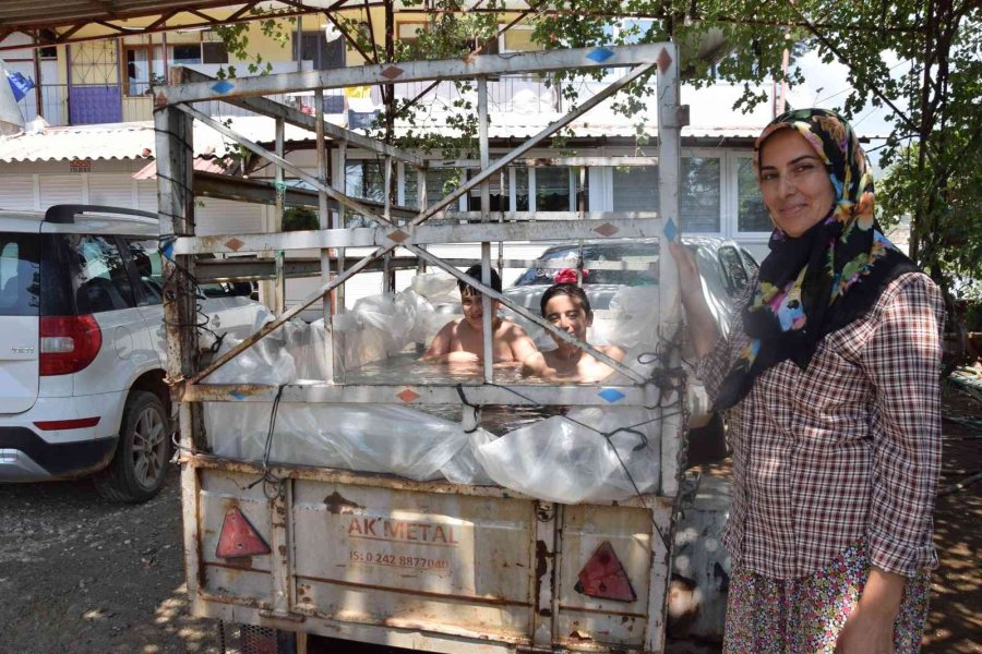 Denize Gidemeyince, Römorku Havuza Çevirdi