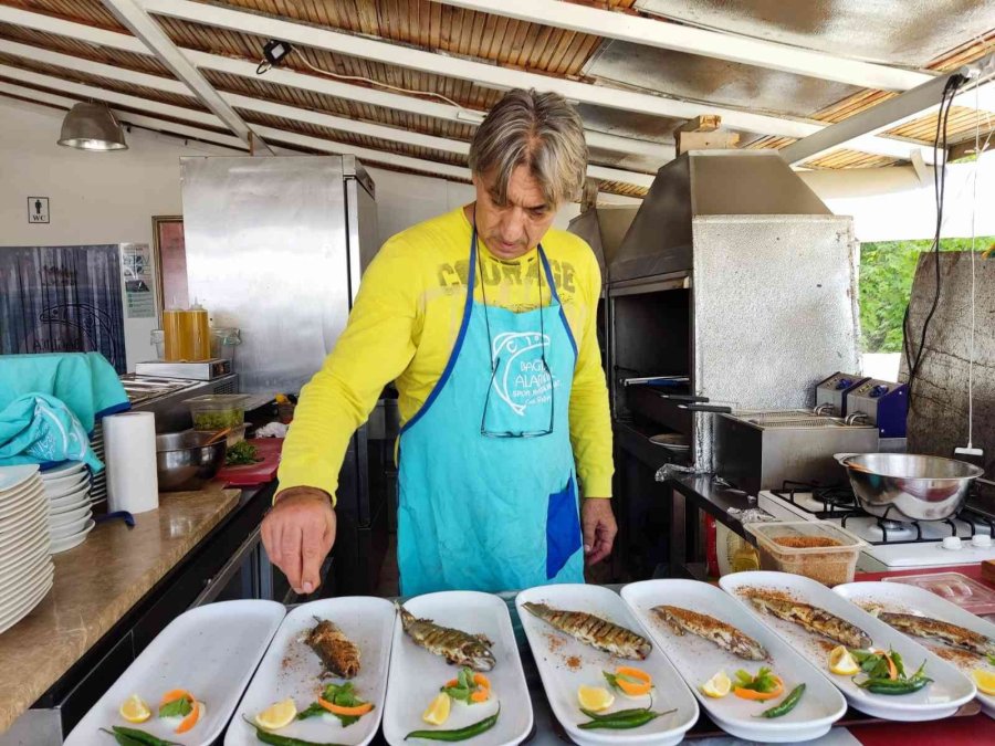 Hollywood Yıldızlarına Eğitim Veren ‘sifu’, Köyünde Alabalık Tesisi Açtı