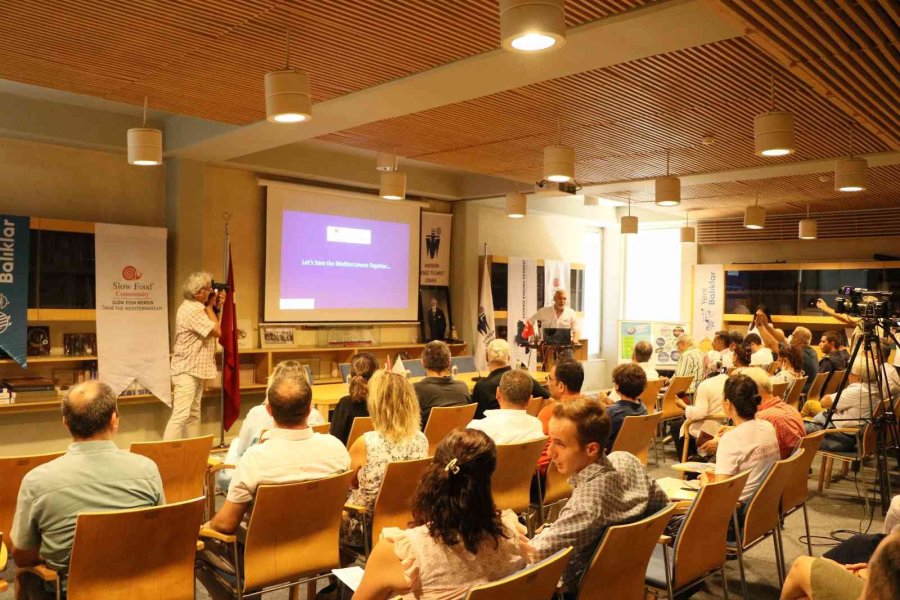 Prof. Dr. Deniz Ayas: "akdeniz Değişiyor, Tropik Bir Deniz Karakteri Kazanıyor"