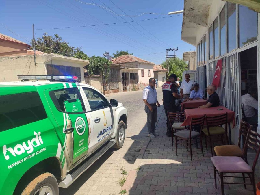 Orman Yangınlarına Karşı Jandarma Önlemi