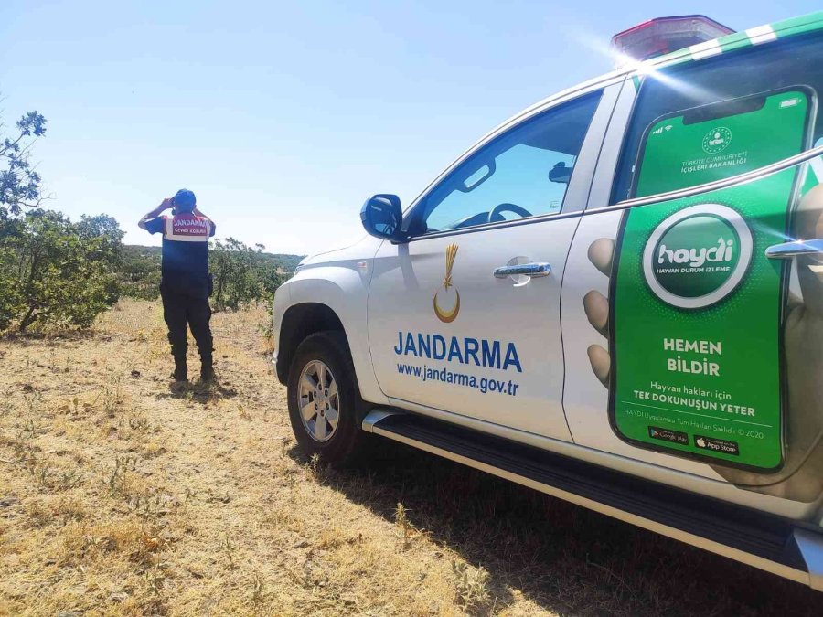 Orman Yangınlarına Karşı Jandarma Önlemi