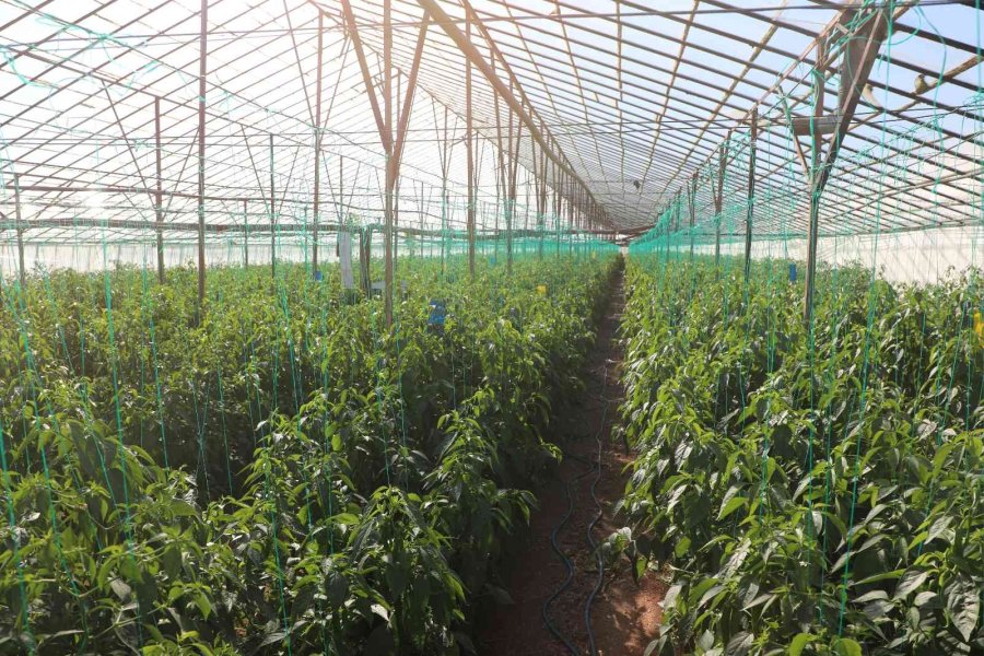 Büyükşehir ‘çevre Dostu Çiftçi Kart Projesi’ni Başlatıyor