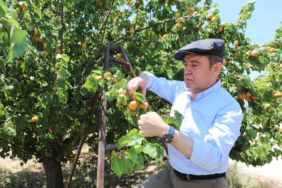 Büyükşehir ‘çevre Dostu Çiftçi Kart Projesi’ni Başlatıyor