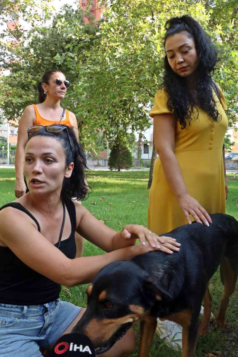 Antalya’da Köpek Ve Kedi Zehirlenmeleri Hayvanseverleri Ayaklandırdı